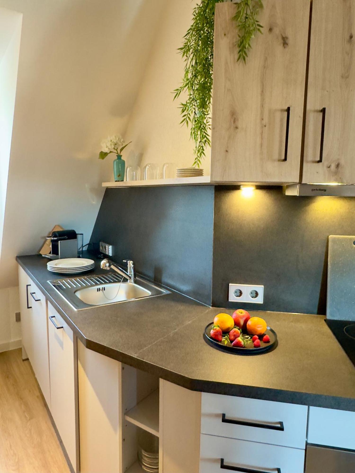 Living & Serviced Apartments By Blauer Wolf Gunzenhausen Luaran gambar